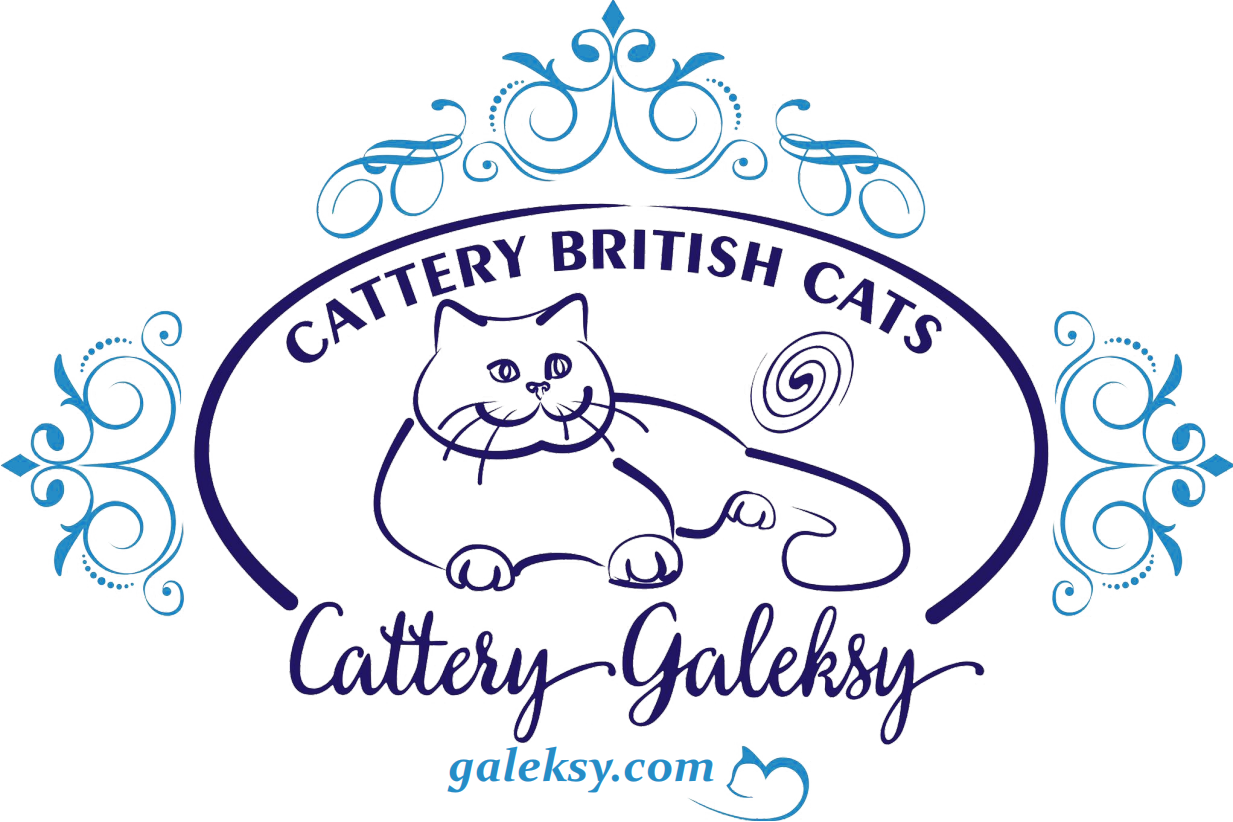 Питомник Cattery British Cats