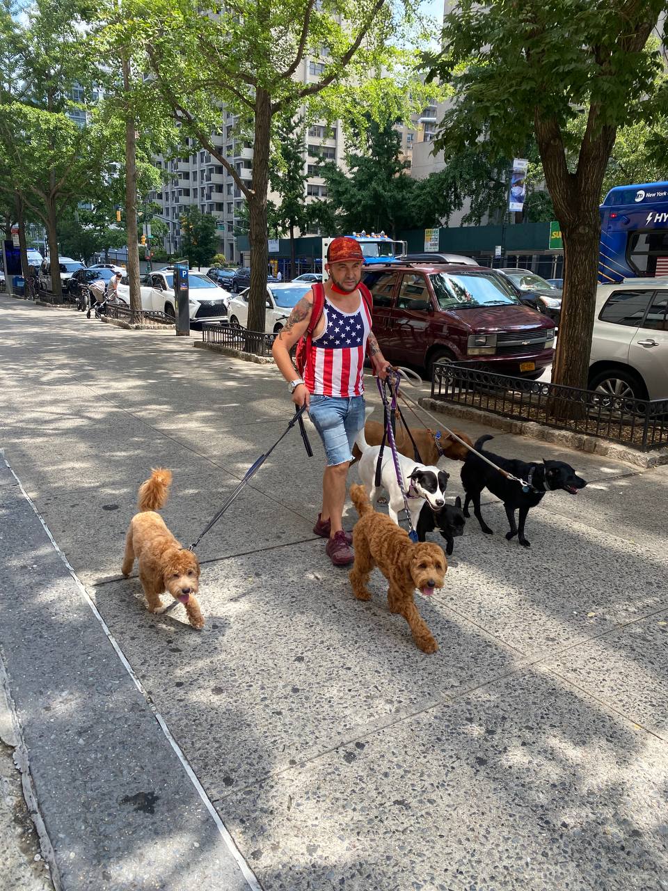 Rules for Importing Dogs into the United States — Delivery Animal blog