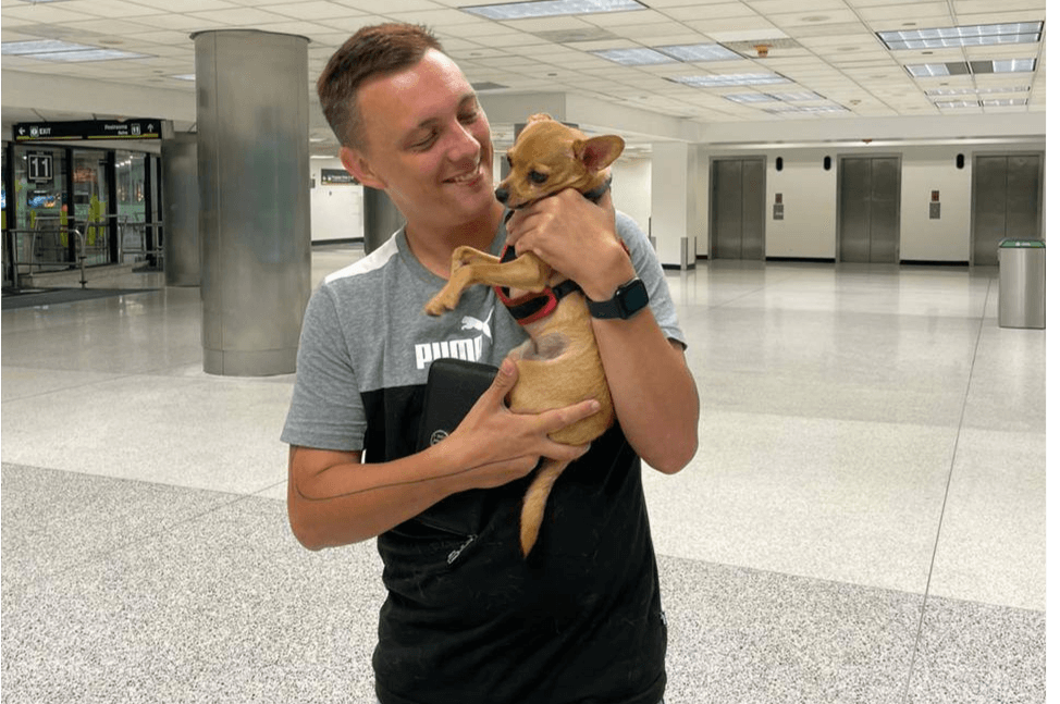 How to Transport a Dog to the USA on Your Own