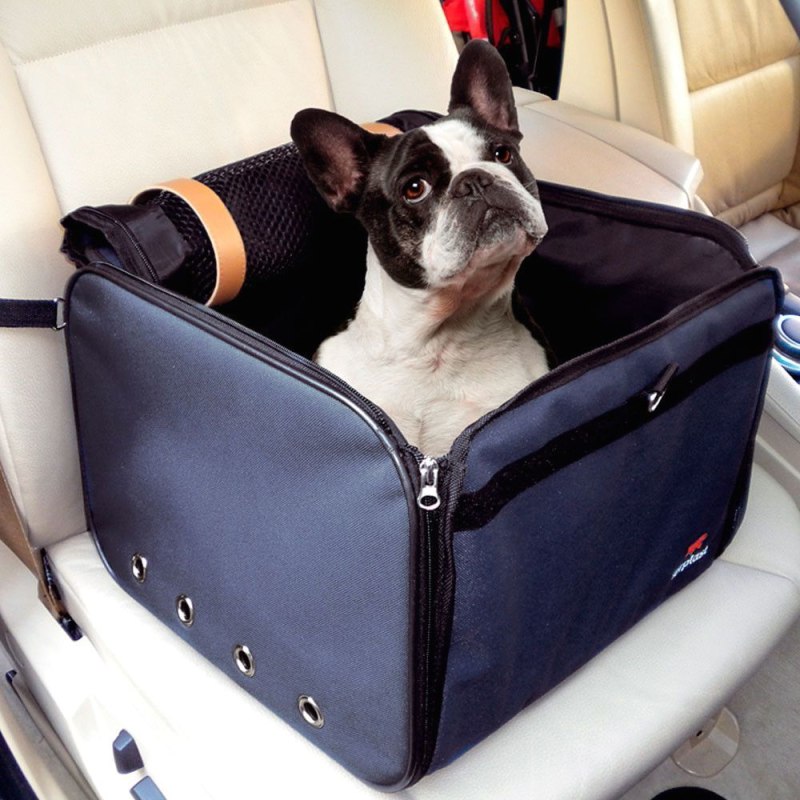 Перелёт с питомцем без подготовки аэропорт