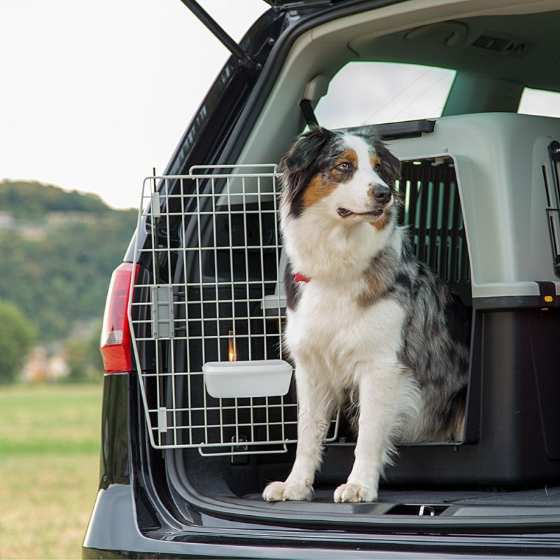 неправильная переноска при перелётах проверка