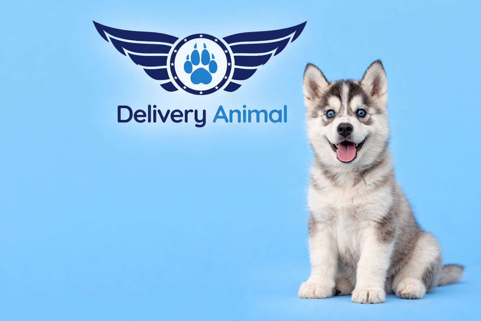 Пугливый щенок во время прогулки — как помочь собаке стать увереннее