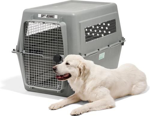 перевозка животных в Израиль документы