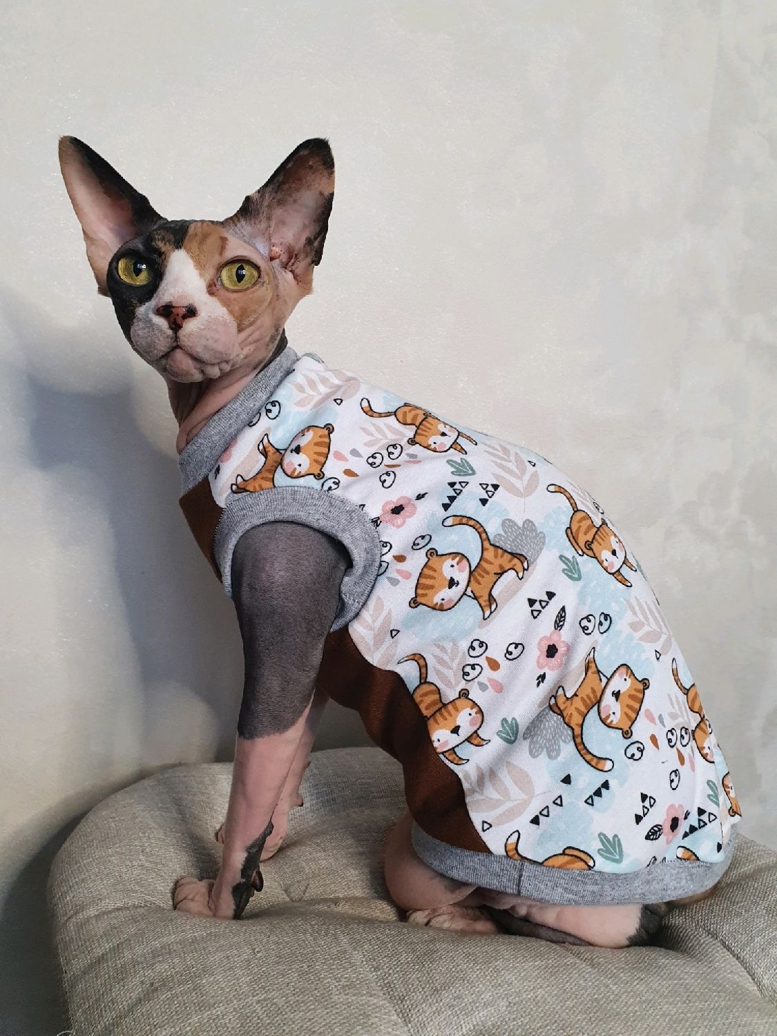 какие породы сложнее всего перевозить аэропорт