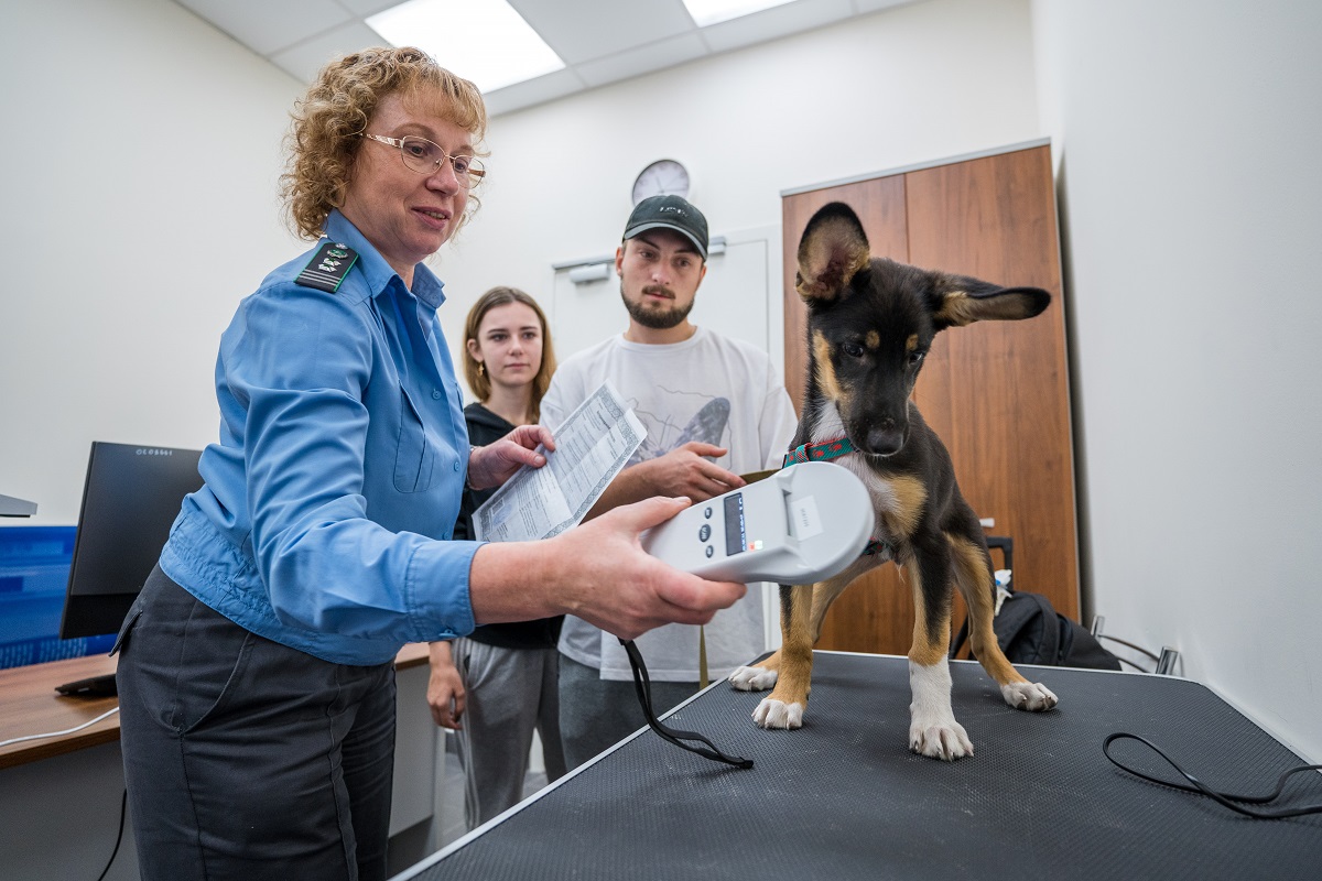 огда лучше бронировать перевозку питомца перед переездом аэропорт