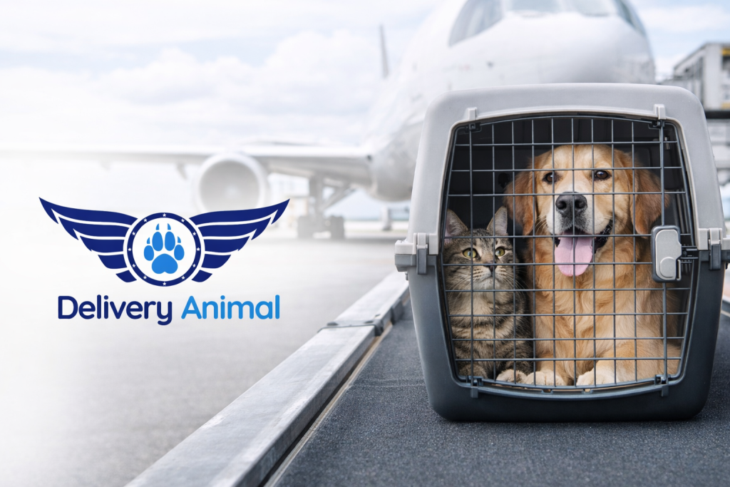 pet cargo shipping
