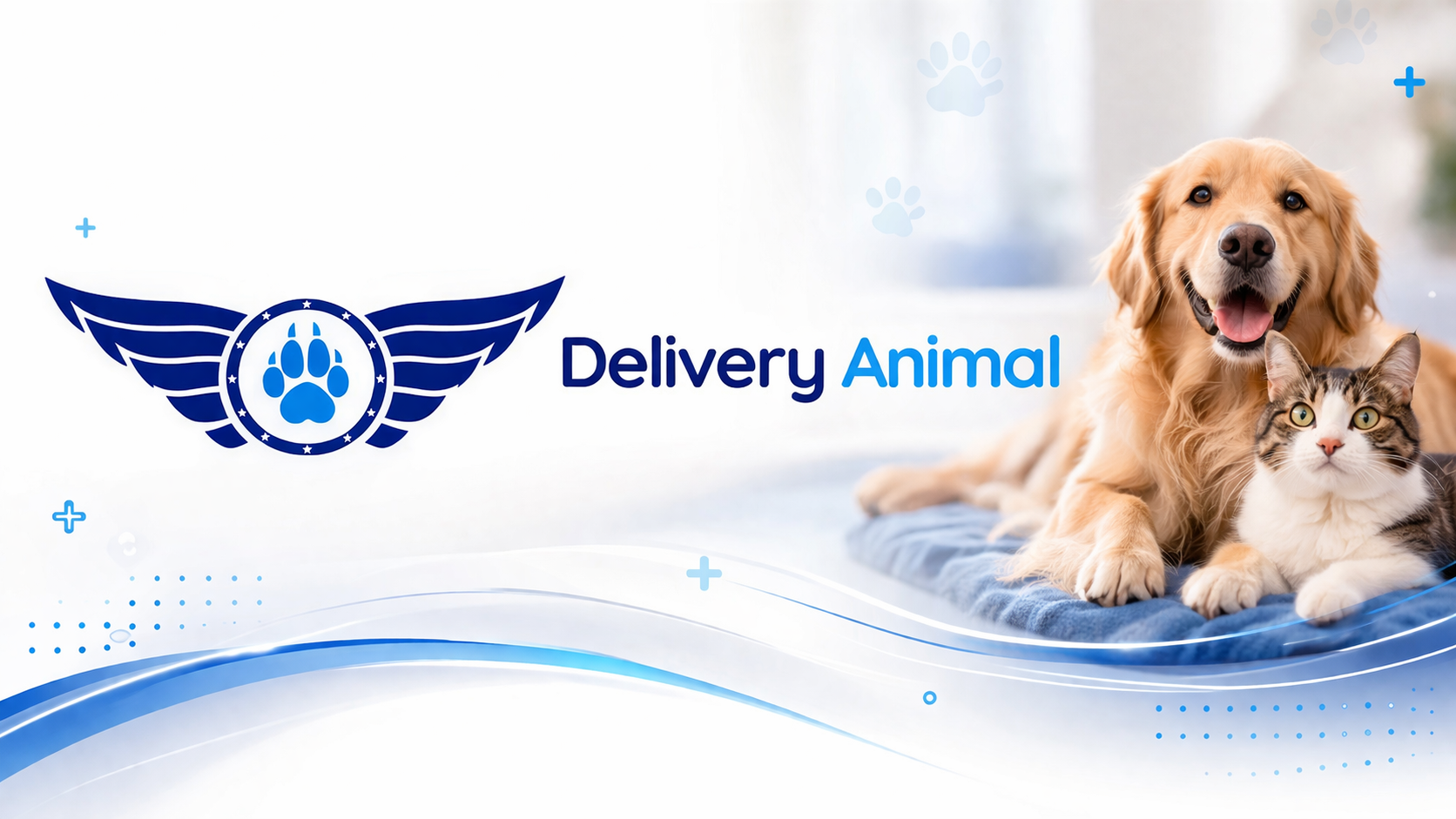 why an adult dog starts chewing furniture