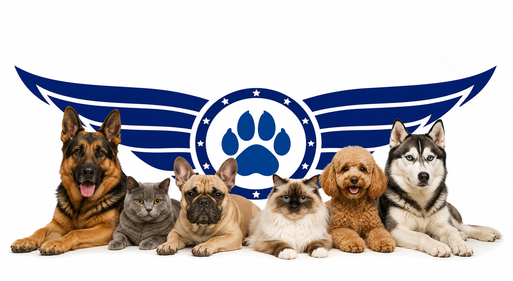 Pet Delivery to Singapore — international dog and cat transportation by Delivery Animal